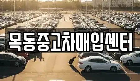 경기도 안산시 상록구 월피동 중고차매입 전문 목동중고차매입센터
