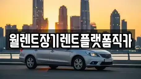경기도 양주시 어둔동 렌트카 전문 월렌트장기렌트플랫폼직카