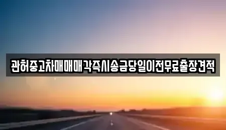 경기도 여주시 하거동 중고차 전문 관허중고차매매매각즉시송금당일이전무료출장견적