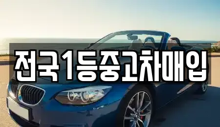 경기도 오산시 벌음동 중고차매입 전문 전국1등중고차매입