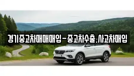 경기도 오산시 서랑동 중고차 전문 경기중고차매매매입-중고차수출.사고차매입