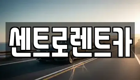 경기도 용인시 수지구 렌트카,단기렌트카,장기렌트카,중고차,중고차매매,중고차매입