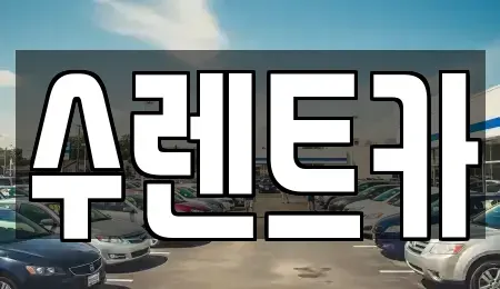 경기도 용인시 수지구 렌트카 전문 수렌트카