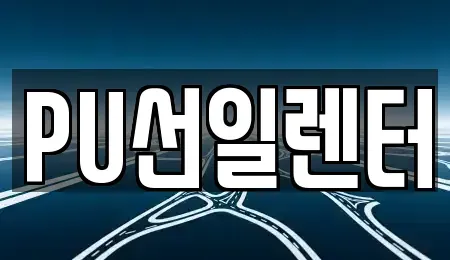 경기도 용인시 수지구 장기렌트카 전문 PU선일렌터