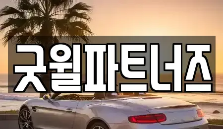 경기도 용인시 수지구 장기렌트카 전문 굿윌파트너즈