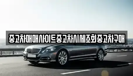 경기도 용인시 수지구 중고차 전문 중고차매매사이트중고차시세조회중고차구매