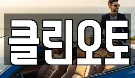 경기도 용인시 수지구 중고차 전문 클린오토