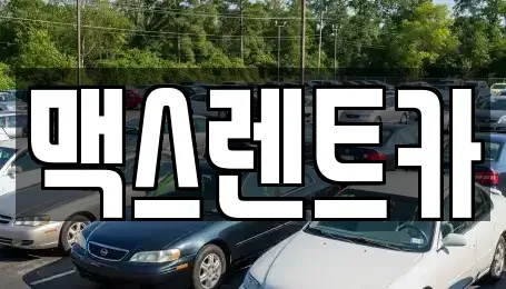 경기도 용인시 처인구 마평동 렌트카 전문 맥스렌트카