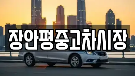 경기도 용인시 처인구 마평동 중고차 전문 장안평중고차시장