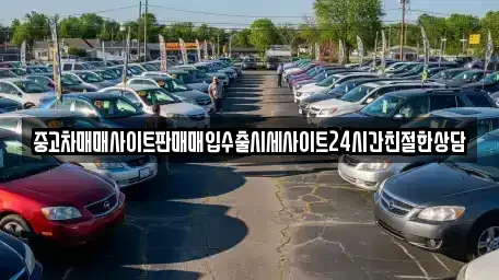 경기도 용인시 처인구 마평동 중고차 전문 중고차매매사이트판매매입수출시세사이트24시간친절한상담