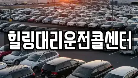 경기도 용인시 처인구 운학동 렌트카 전문 힐링대리운전콜센터