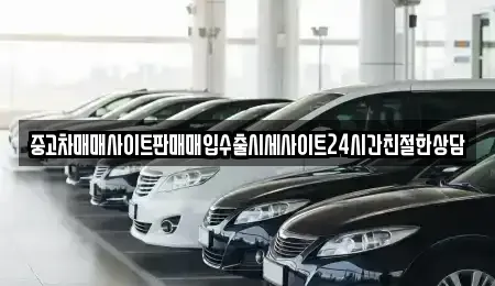 경기도 용인시 처인구 운학동 중고차 전문 중고차매매사이트판매매입수출시세사이트24시간친절한상담