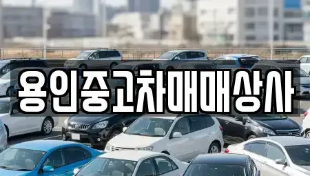 경기도 용인시 처인구 운학동 중고차매매 전문 용인중고차매매상사