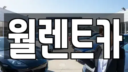 경기도 의정부시 낙양동 렌트카 전문 월렌트카