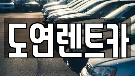 경기도 의정부시 낙양동 장기렌트카 전문 도연렌트카