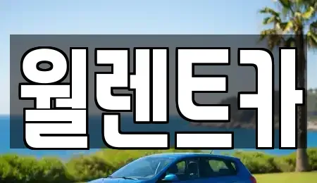 경기도 의정부시 민락동 렌트카 전문 월렌트카