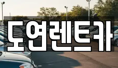 경기도 의정부시 민락동 장기렌트카 전문 도연렌트카