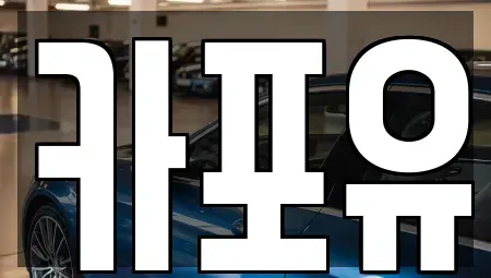 경기도 의정부시 민락동 장기렌트카 전문 카포유