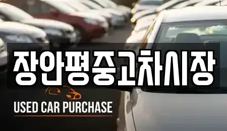 경기도 의정부시 민락동 중고차 전문 장안평중고차시장