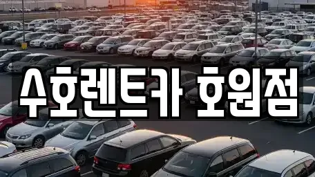 경기도 의정부시 호원동 렌트카 전문 수호렌트카 호원점