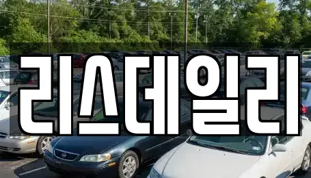 경기도 의정부시 호원동 장기렌트카 전문 리스데일리
