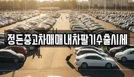 경기도 이천시 백사면 중고차매매 전문 정든중고차매매내차팔기수출시세