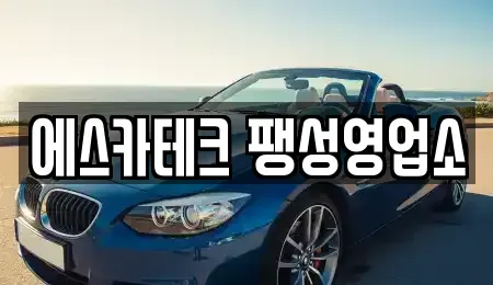 경기도 평택시 용이동 렌트카 전문 에스카테크 팽성영업소