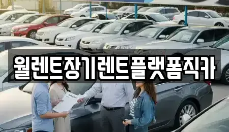 경기도 평택시 용이동 렌트카 전문 월렌트장기렌트플랫폼직카