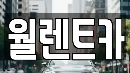 경기도 평택시 용이동 렌트카 전문 월렌트카