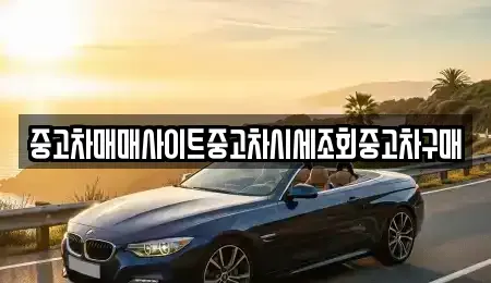 경기도 평택시 용이동 중고차매매 전문 중고차매매사이트중고차시세조회중고차구매