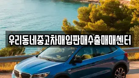 경기도 평택시 용이동 중고차매입 전문 우리동네중고차매입판매수출매매센터