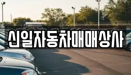경기도 포천시 설운동 중고차매매 전문 신일자동차매매상사