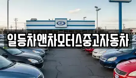 경기도 포천시 일동면 중고차 전문 일등차앤차모터스중고자동차