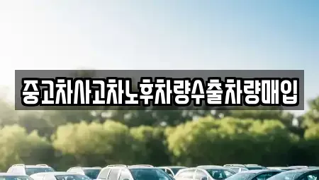 경기도 포천시 일동면 중고차 전문 중고차사고차노후차량수출차량매입