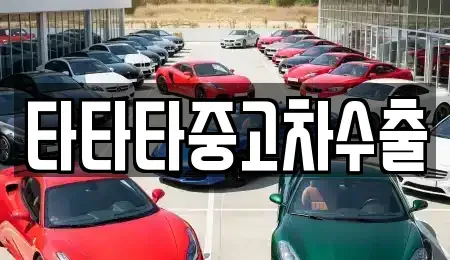 경기도 포천시 일동면 중고차 전문 타타타중고차수출