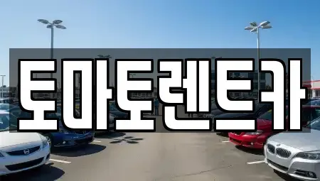 경기도 포천시 창수면 렌트카 전문 토마토렌트카