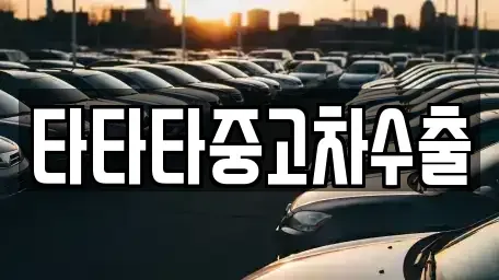 경기도 포천시 창수면 중고차 전문 타타타중고차수출