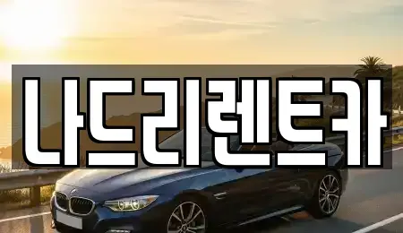 경기도 하남시 신장동 렌트카 전문 나드리렌트카