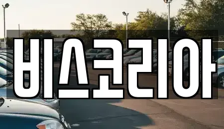 경기도 하남시 신장동 렌트카 전문 비스코리아