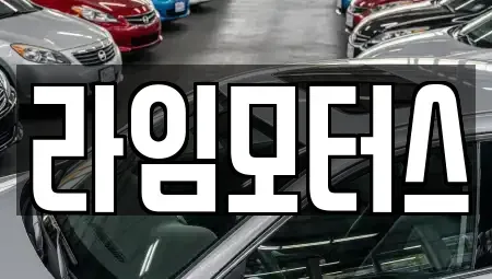 경기도 하남시 신장동 중고차매매 전문 라임모터스