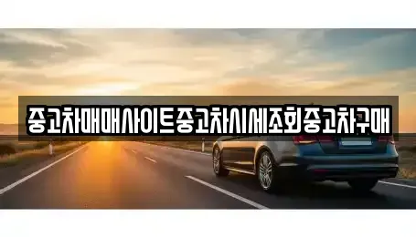 경기도 하남시 신장동 중고차매매 전문 중고차매매사이트중고차시세조회중고차구매
