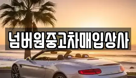 경기도 하남시 신장동 중고차매입 전문 넘버원중고차매입상사