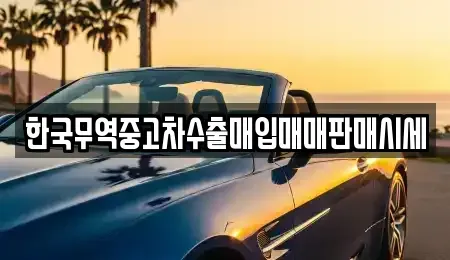 경기도 하남시 신장동 중고차매입 전문 한국무역중고차수출매입매매판매시세