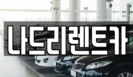 경기도 하남시 창우동 장기렌트카 전문 나드리렌트카