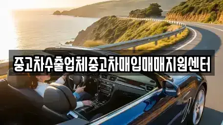 경기도 하남시 창우동 중고차매입 전문 중고차수출업체중고차매입매매지원센터