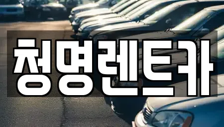 경기도 화성시 반송동 장기렌트카 전문 청명렌트카