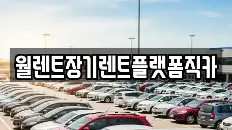 경기도 화성시 방교동 장기렌트카 전문 월렌트장기렌트플랫폼직카