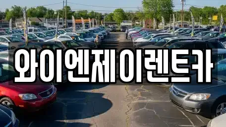 경기도 화성시 장지동 렌트카 전문 와이엔제이렌트카