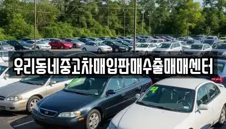 경기도 화성시 장지동 중고차매입 전문 우리동네중고차매입판매수출매매센터
