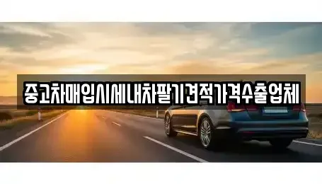 경기도 화성시 장지동 중고차매입 전문 중고차매입시세내차팔기견적가격수출업체